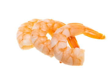 boiled shrimp isolated