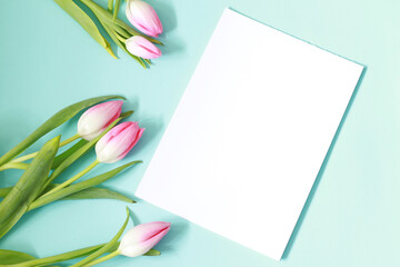 white blank paper page template with beautiful pink tulips on blue background