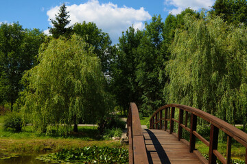 Fototapeta na wymiar View of the wooden bridge over the lake.