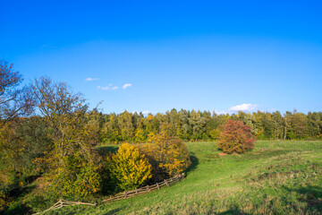 Fototapeta premium neanderthal landscape in Mettmann in the Eifel germany