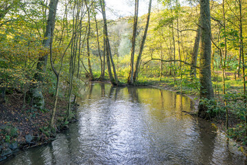 neanderthal landscape in Mettmann in the Eifel germany