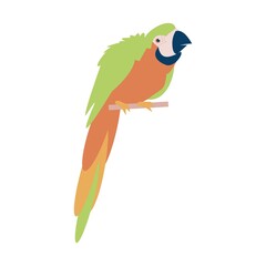Big Tropical parrot flat vector isolated illustration