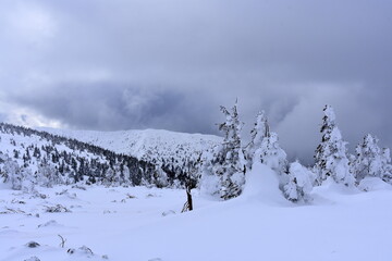 Fototapeta na wymiar Karkonosze, zima, trudne warunki na szlakach górskich, śnieg, 