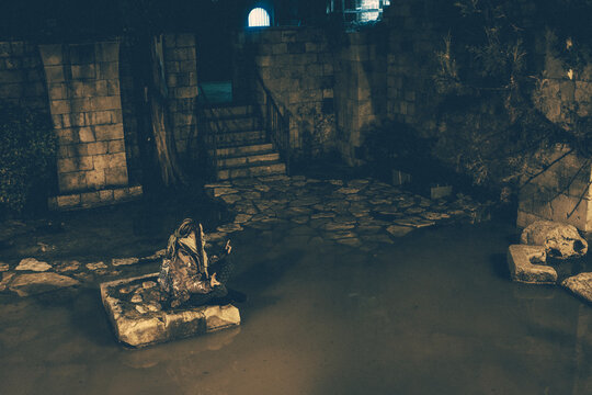 Young hipster girl with dreadlocks in Jerusalem old town
