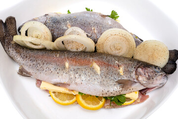 Fresh, raw two trout lying on a plate, stuffed with butter, onion, parsley and lemon slices, isolated on a white background with a clipping path, top view.