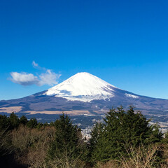 Fototapeta premium 晴天の富士山