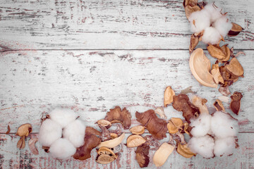 White cotton flowers and brown dried flowers on a gray wooden background, top view. Cotton plant decor, flat lay