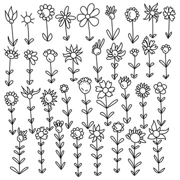 Set of contour doodle flowers with different types of petals, fantasy ornate plants for decoration