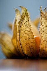 physalis on a cake