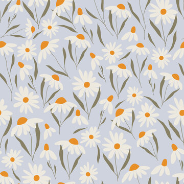 Seamless pattern of daises. Textile pattern of chamomile spring flowers.