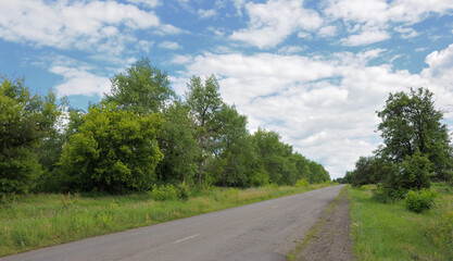 Naklejka premium road in the countryside