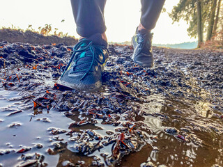 Running in the mud during a jogging sport phase