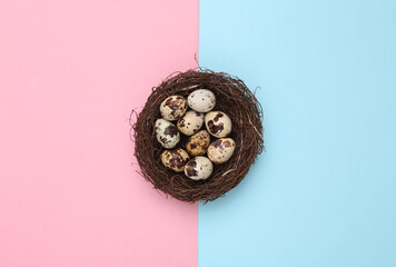 Quail eggs in a nest on a blue-pink pastel background. Easter concept. Top view