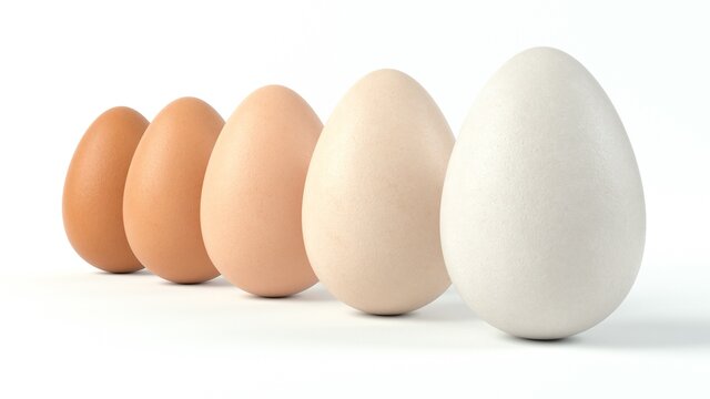 sorted five shades of egg. different colors of egg sorted in a row. 3d illustration, suitable for food, egg and farm themes.