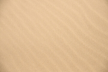 Fototapeta na wymiar dune sand background or texture, backdrop