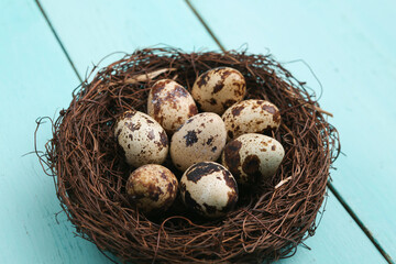 Naklejka na ściany i meble Quail eggs in a nest on blue wooden table. Easter concept