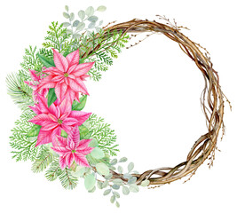 Watercolor christmas pink poinsettia wreath with dry decorative branches. Botanical illustration isolated on white background. Perfect for invitations, card templates