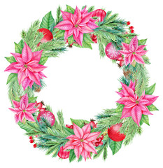 Watercolor christmas pink poinsettia wreath. Botanical illustration isolated on white background. Perfect for invitations, card templates
