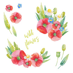 Watercolor floral illustration. Two beautiful bouquets with leaves and poppies, daisies, branches, blue flowers and much more.