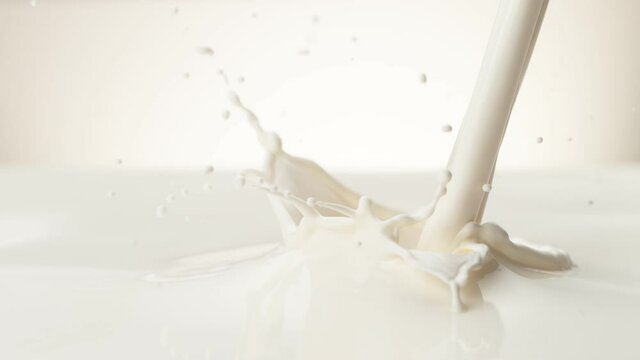 Super slow motion of milk splash isolated on white background. Filmed on high speed cinema camera, 1000 fps.