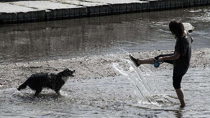 A young man plays with a dog on a shallow river in the park of Lugano. Contour light, splash, dynamics, game.