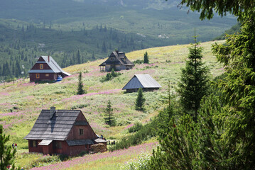 Obraz premium SONY DSC