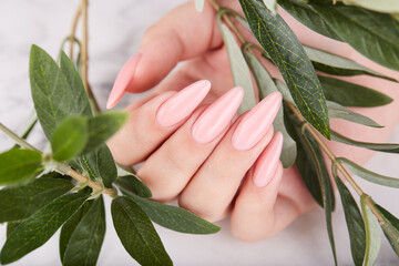 Hand with long artificial manicured nails colored with pink nail polish. Fashion and stylish manicure. - obrazy, fototapety, plakaty
