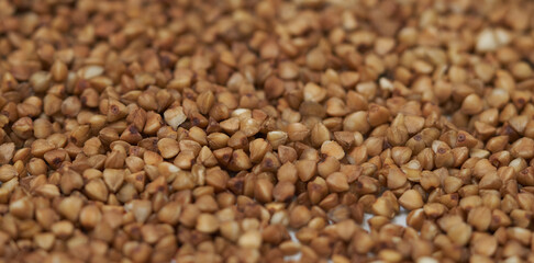 buckwheat groats as background texture for artists