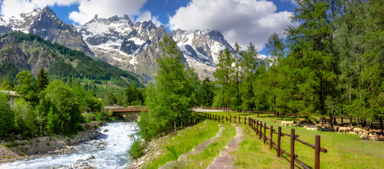 Pecore e capre pascolano in riva al fiume. Alpi italiane. Valle d'Aosta. Italia