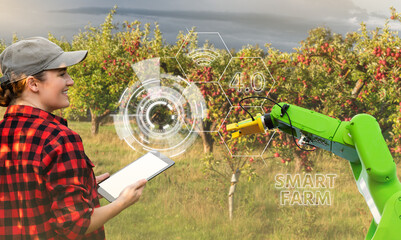A farmer controls a robot arm in an apple orchard. Agriculture industry concept.