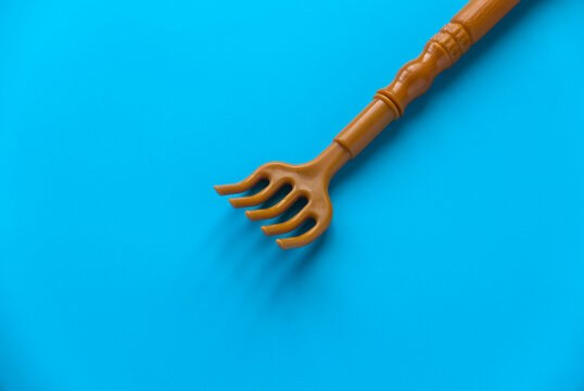 Back scratcher on blue background.
