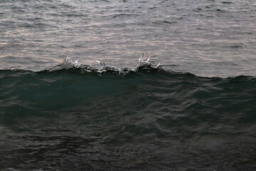 Fototapeta premium clear water splash, top of the sea wave, dark photography.