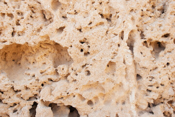 The porous surface of an ancient wall