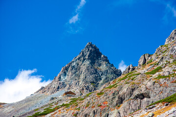 Fototapeta premium landscape with sky