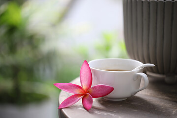 White coffee cup and pink frangipani flower closeup on wooden table