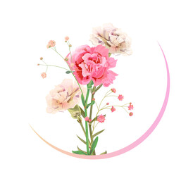 Round Mother's Day, Victory Day card with carnation: red, pink, flowers, twigs gypsophile, white background. Templates for design, vintage botanical illustration in watercolor style, vector