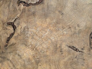 background structure of an old sawn linden tree. Tree rings old weathered wood texture with the...