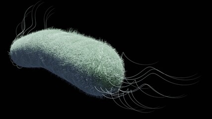 One E-Coli bacteria isolated on a black background. 3D render illustration