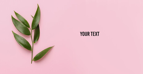 Eco concept. Green leaves on a pink pastel background. Top view. Copy space
