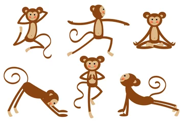 Foto op Plexiglas Aap grappige en schattige aap die yoga doet