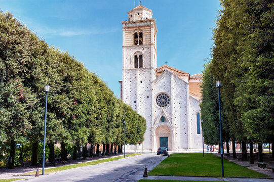 Fermo. Cattedrale di Santa Maria Assunta , preceduta da un viale alberato di lecci. stile  architettonico, gotico, neoclassico.
