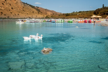Kurna or Kournas is the largest freshwater lake in Crete. Geese on the surface of lake Kournas at island Crete, Greece