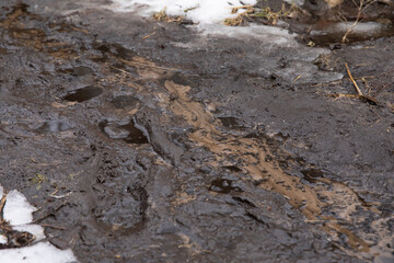 Dirty blurred road with mud and human footprints