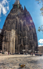 Fototapete bei efototapeten.de bestellen   