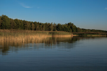 Golden hour over the forest lake. The low sun illuminates the reeds and the people sitting in the distance on the bridge. Lake Svityaz. Shatsky National Natural Park. Ukraine.