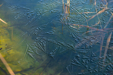Amazing texture of the first ice on the water. Tide water green background. Sunny morning. Copy space.