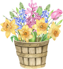 Watercolor spring bouquets with pink tulips, narcissus, hyacinth, leaves. Flower arrangement, Wedding invitation clip art