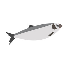 Obraz premium Fish sea herring. Hand-drawn vector, flat style. Animals of the ocean, nature, atlantic. Healthy, wholesome food, source of vitamin D. For recipes, menus, restaurants, cafes, textbooks, illustrations.