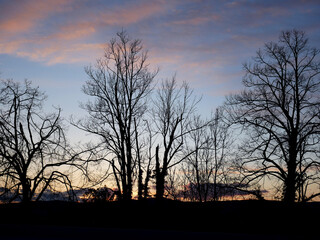 Magnifique coucher de soleil avec silhouettes d'arbres - Drôme (26), Auvergne-Rhône-Alpes