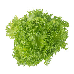 Obraz premium Red Oak Lettuce or Green Oak Lettuce (Lactuca sativa) isolated on white background.Food ingredients in salads or Healthy food concept for weight loss Grown in hydroponics systems. 